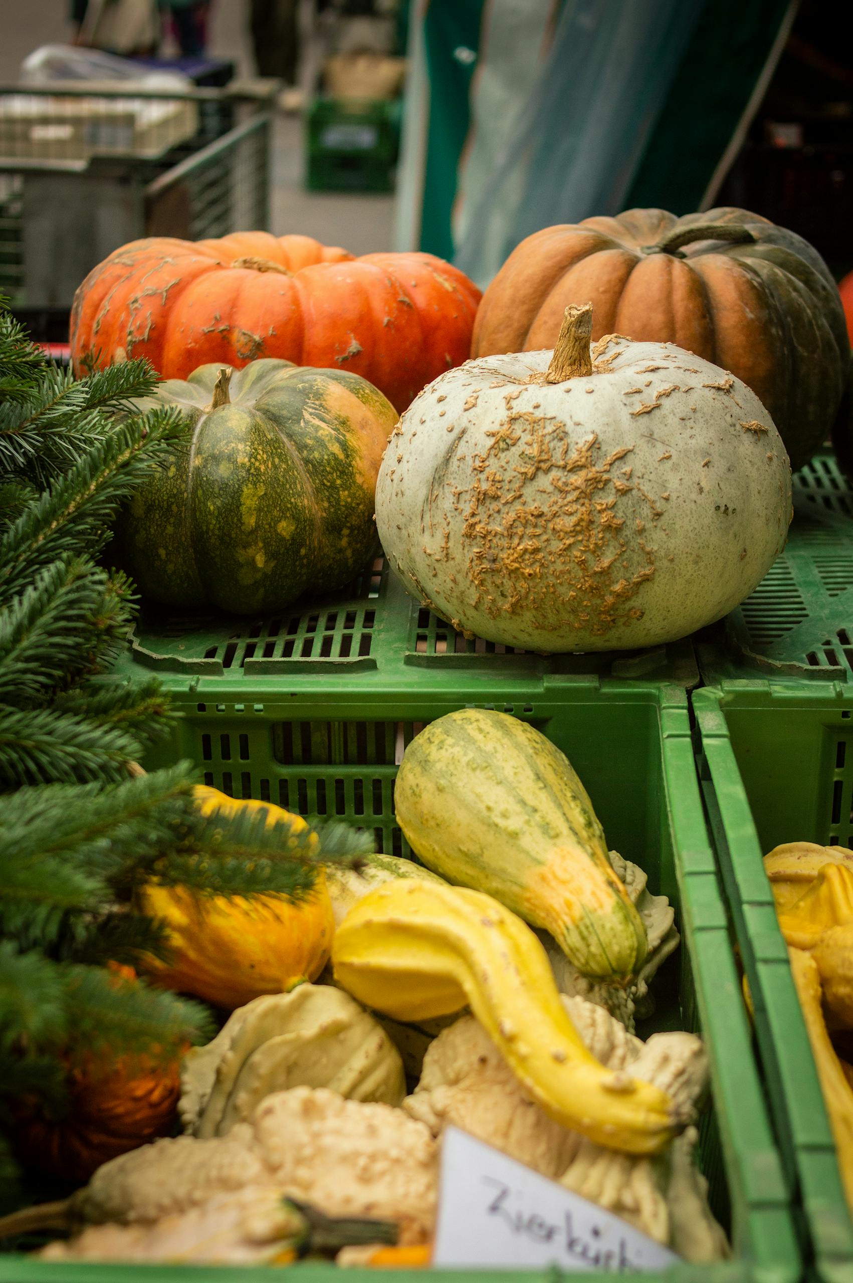 Colorful pumpkins and gourds on display at a Bern market, showcasing Swiss autumn harvest.